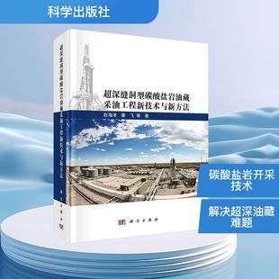 超深缝洞型碳酸盐岩油藏采油工程新技术与新方法 赵海洋,秦飞 等 著 石油 天然气工业专业科技 新华书店正版图书籍 科学出版社