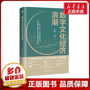 数字文化经济浪潮  金巍 著 各部门经济经管、励志 新华书店正版图书籍 中译出版社