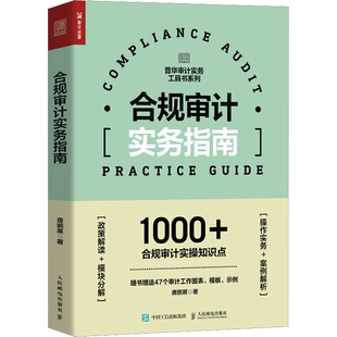 合规审计实务指南 唐鹏展 著 统计 审计经管、励志 新华书店正版图书籍 人民邮电出版社
