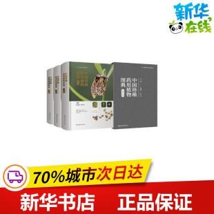 肖培根 著 湖南科学技术出版 上中下 社 图书籍 精 新华书店正版 中国珍稀药用植物图典 中医生活