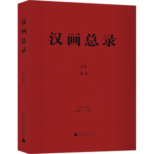 图书籍 社 杨建华 文物 考古社科 编 淮北 朱青生 广西师范大学出版 汉画总录 新华书店正版