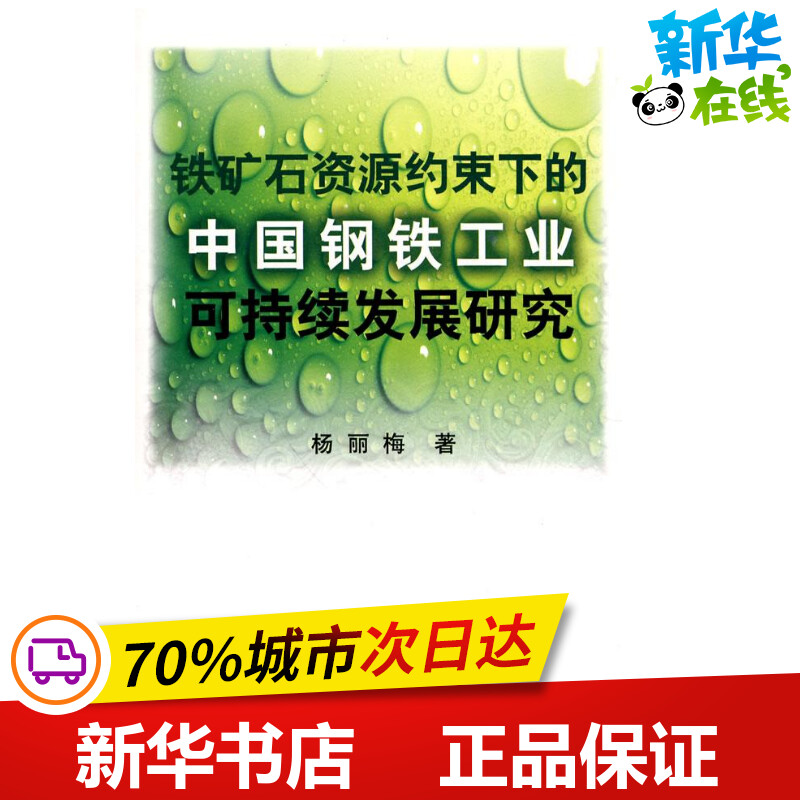 铁矿石资源约束下的中国钢铁工业可持续发展研究\杨丽梅 杨丽梅？？著 著作 冶金工业专业科技 新华书店正版图书籍