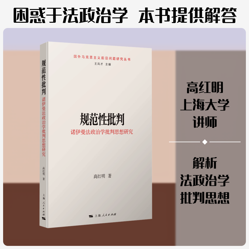 规范性批判：诺伊曼法政治学批判思想研究