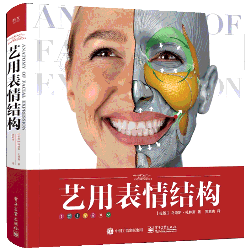 艺用表情结构 精装版全彩 理解人体形态 人体面部表情结构教学 骨骼肌肉造型解剖学基础教程 动漫素描入门教材书籍
