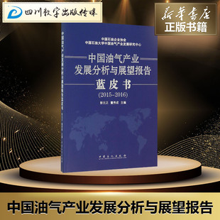 工业技术其它专业科技 社 正 中国石化出版 图书籍 新华书店正版 著 主编 董秀成 彭元 中国油气产业发展分析与展望报告蓝皮书