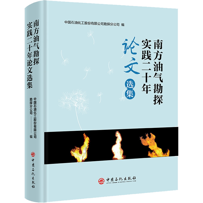 南方油气勘探实践二十年论文选集 中国石油化工股份有限公司勘探分公司 编 石油 天然气工业专业科技 新华书店正版图书籍