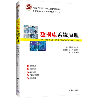 数据库系统原理 史霄波,窦智 编 大学教材大中专 新华书店正版图书籍 清华大学出版社