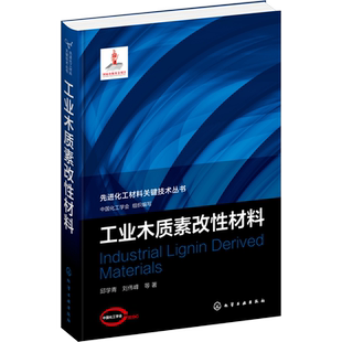 工业木质素改性材料 邱学青 等 著 中国化工学会 编 化学工业专业科技 新华书店正版图书籍 化学工业出版社