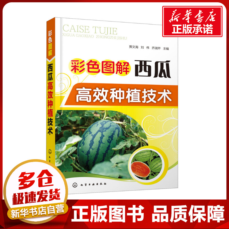 彩色图解西瓜高效种植技术 贾文海,刘伟,乔淑芹  编 农业基础科学专业科技 新华书店正版图书籍 化学工业出版社