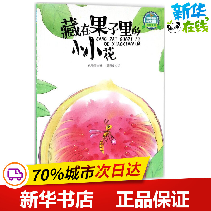 藏在果子里的小小花 代晓琴 著;夏果皮 绘 著作 科普百科少儿 新华书店正版图书籍 广东新世纪出版社