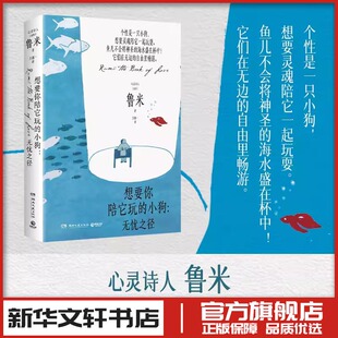 想要你陪它玩的小狗:无忧之径 鲁米 著 外国诗歌文学 新华书店正版图书籍 湖南文艺出版社