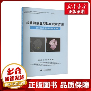 岩浆热液脉型钴矿床成矿作用——以江南造山带中段井冲矿床为例 李艳军,王川,陕亮 著 地质学专业科技 新华书店正版图书籍