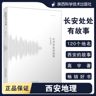 著 高宇大哥樊登作序何清麦子音频大唐人文历史读物陕西旅游书籍旅游攻略地域群众文化新华书店正版 西安地理 长安处处有故事 高宇