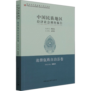 中国民族地区经济社会调查报告 沧源佤族自治县卷 陈国庆 编 世界及各国经济概况经管、励志 新华书店正版图书籍