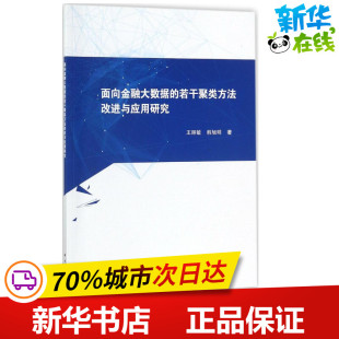 韩旭明 著 科学出版 若干聚类方法改进与应用研究 社 图书籍 王丽敏 新华书店正版 面向金融大数据 数据库专业科技