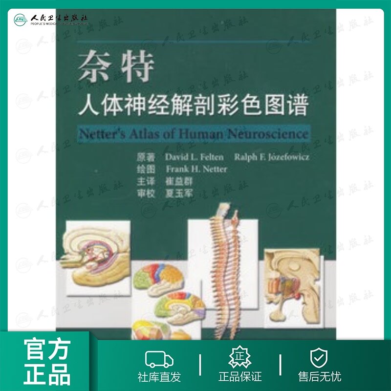 奈特人体神经解剖彩色图谱 (美)费尔腾(Felten,D.) 等 原著 著 崔益群 主译 译 影像医学生活 新华书店正版图书籍 人民卫生出版社