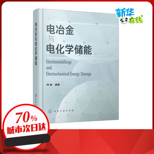电冶金与电化学储能 钟澄 编 能源与动力工程专业科技 新华书店正版图书籍 化学工业出版社