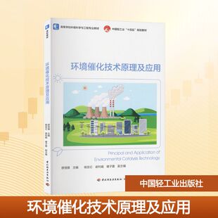 环境催化技术原理及应用（高等学校环境科学与工程专业教材） 缪恒锋 主编;杨昆仑,谢利娟,楼子墨 副主编 编 大学教材大中专