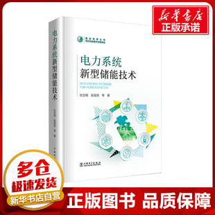 电力系统新型储能技术 杜忠明 等 著 电工技术/家电维修专业科技 新华书店正版图书籍 中国电力出版社