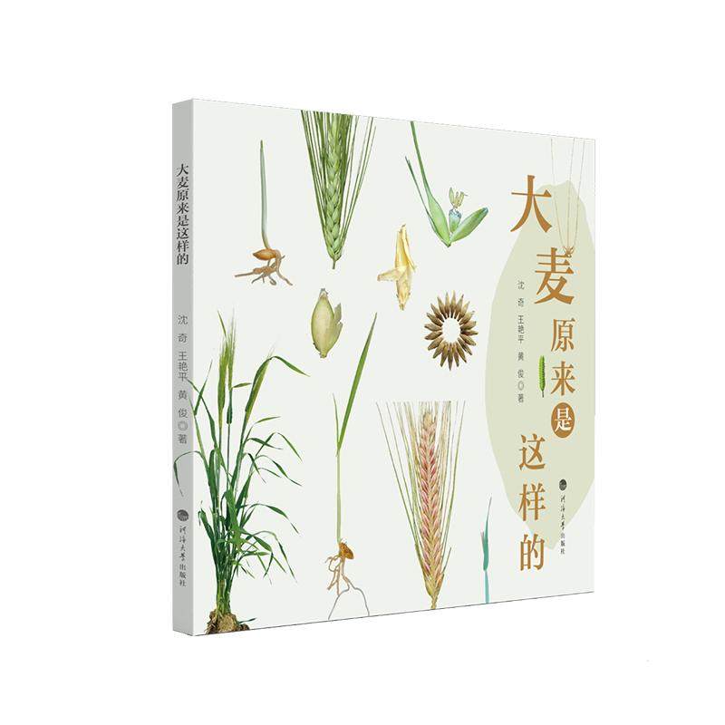 大麦原来是这样的 沈奇，王艳平，黄俊著 著 农业基础科学生活 新华书店正版图书籍 河海大学出版社