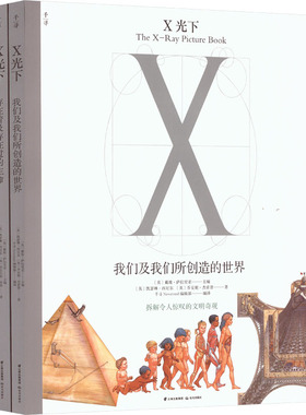 X光下(全2册) (英)凯瑟琳·西尼尔,(英)乔安妮·杰索普 等 著 (英)戴维·萨拉里亚,千寻Neverend编辑部 编 科普百科少儿