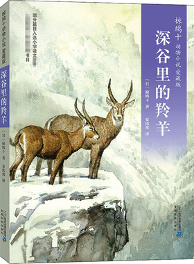 深谷里的羚羊 (日)椋鸠十 著 安伟邦 译 其它儿童读物少儿 新华书店正版图书籍 二十一世纪出版社集团有限公司