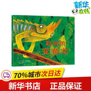 莫温伊·海蒂斯 社 新星出版 绘 变色龙 英 儿童文学少儿 册册 著 图书籍 聪明 译 新华书店正版 艾德里安娜·肯纳韦