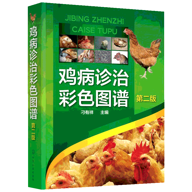 鸡病诊治彩色图谱第2版 刁有祥 主编 畜牧/养殖专业科技 新华书店正版图书籍 化学工业出版社