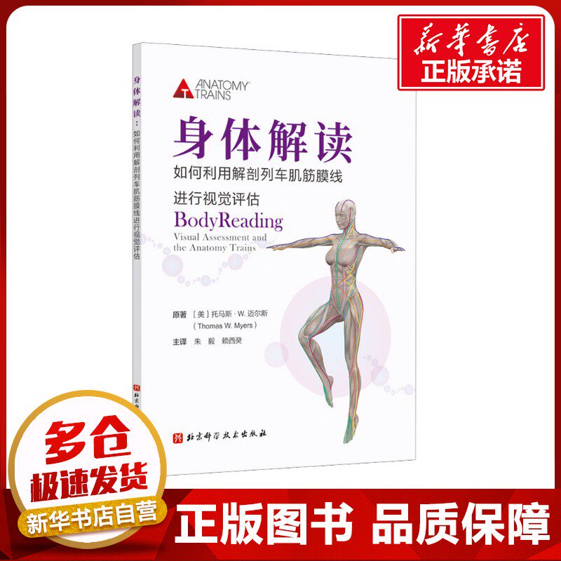 身体解读 如何利用解剖列车肌筋膜线进行视觉评估 (美)托马斯·W.迈尔斯 著 朱毅,赖西癸 译 医学其它生活 新华书店正版图书籍