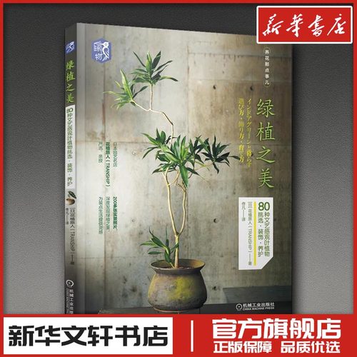 新华书店正版 生活休闲