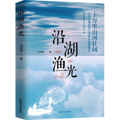 沿湖渔光 王向明 著 世界政治经管、励志 新华书店正版图书籍 江苏人民出版社
