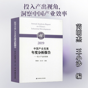 2019中国产业发展年度分析报告——投入产出的视角 芮明杰,王小沙 编 中国经济/中国经济史经管、励志 新华书店正版图书籍