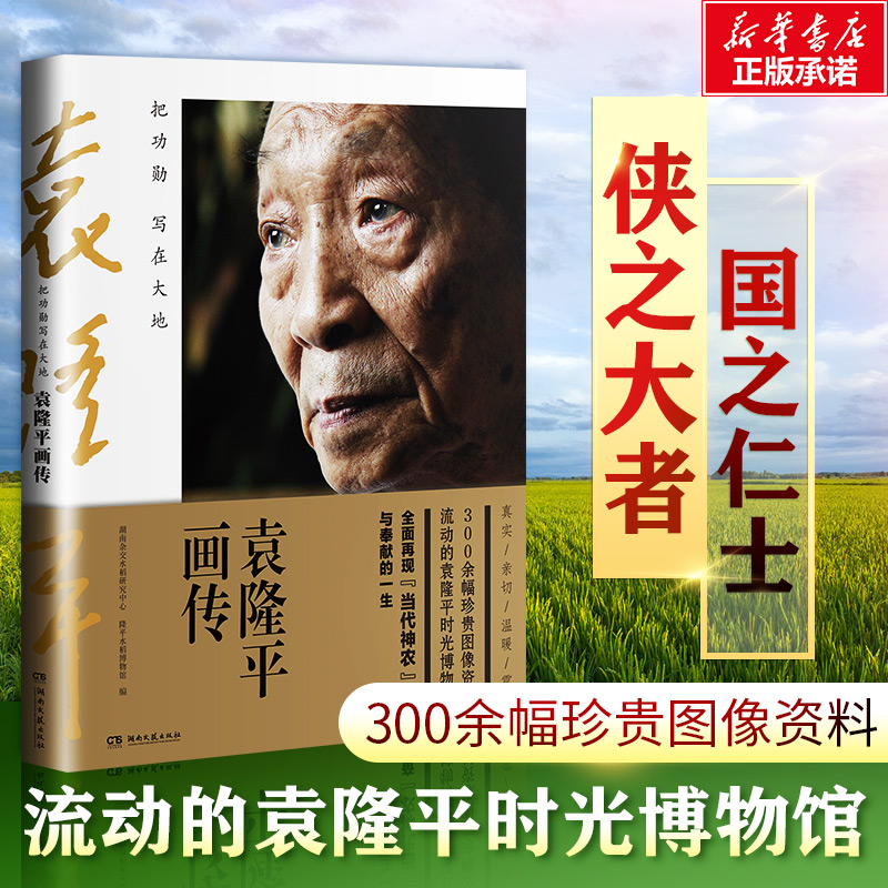 新华书店正版 美术画册