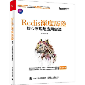 Redis深度历险 核心原理与应用实践 钱文品 著 数据库专业科技 新华书店正版图书籍 电子工业出版社