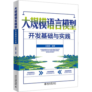 大规模语言模型开发基础与实践 王振丽 编 计算机控制仿真与人工智能专业科技 新华书店正版图书籍 北京大学出版社