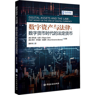 数字资产与法律:数字货币时代的法定货币 (意)菲利波·扎蒂,(意)罗莎·乔瓦娜·巴蕾希 编 黄希韦 译 经济理论经管、励志