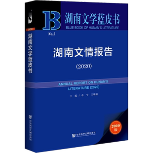 湖南文情报告(2020) 2020版 卓今,王瑞瑞 编 文学理论/文学评论与研究文学 新华书店正版图书籍 社会科学文献出版社