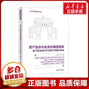 励志 社 视角 清华大学出版 图书籍 新华书店正版 经济理论经管 著 董丰 基于建设现代中央银行制度 资产泡沫与双支柱调控框架