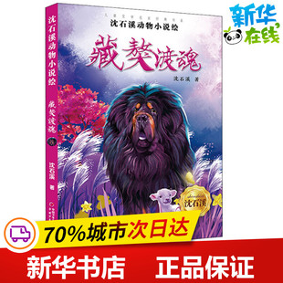 沈石溪动物小说绘 藏獒渡魂 沈石溪 著 幼儿早教/少儿英语/数学少儿 新华书店正版图书籍 中国少年儿童出版社