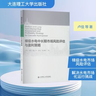 梯级水电中长期市场风险评估与盈利策略 卢佳、曹辉、鲍正风、徐杨、朱韶楠 著 建筑/水利（新）专业科技 新华书店正版图书籍
