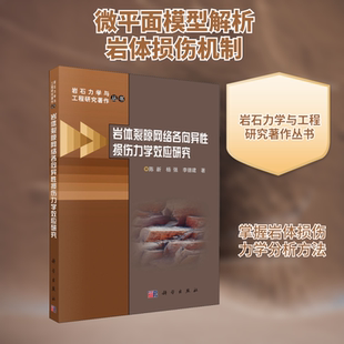岩体裂隙网络各向异性损伤力学效应研究 陈新,杨强,李德建 著 冶金工业专业科技 新华书店正版图书籍 科学出版社
