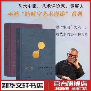 巫鸿2册   生动：在漫游中发现艺术+偶遇 在漫游中感知艺术 (美)巫鸿 著等 艺术理论（新）艺术 新华书店正版图书籍 上海三联书店