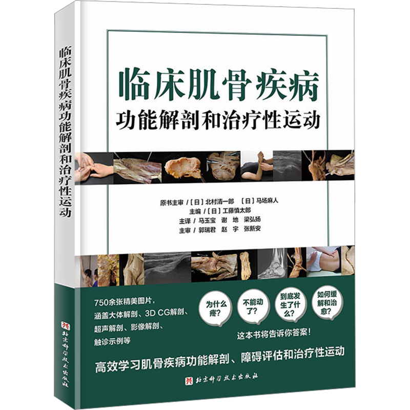 临床肌骨疾病功能解剖和治疗性运动 (日)工藤慎太郎 编 马玉宝,谢地,梁弘扬 译 基础医学生活 新华书店正版图书籍