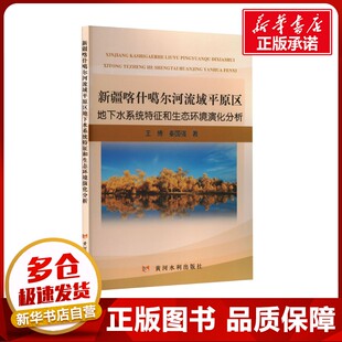 新疆喀什噶尔河流域平原区地下水系统特征和生态环境演化分析 王博,秦国强 著 环境科学专业科技 新华书店正版图书籍