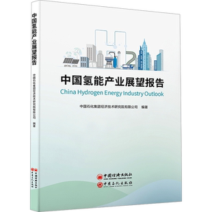 中国氢能产业展望报告 中国石化集团经济技术研究院有限公司 编 能源与动力工程专业科技 新华书店正版图书籍 中国石化出版社