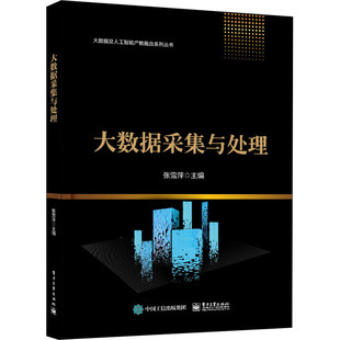 电子工业出版 大数据采集与处理 社 新华书店正版 编 图书籍 数据库专业科技 张雪萍