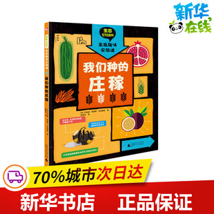 译 庄稼 著 我们种 科普百科少儿 广西师范大学出版 乔治亚·阿姆森 图书籍 英 社 布拉德肖 新华书店正版 罗英华