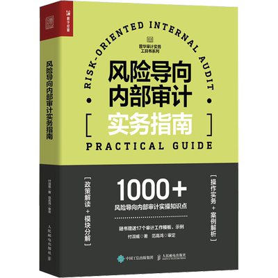 风险导向内部审计实务指南