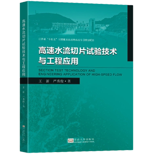 高速水流切片试验技术与工程应用 王新,严秀俊 著 社会科学其它专业科技 新华书店正版图书籍 东南大学出版社