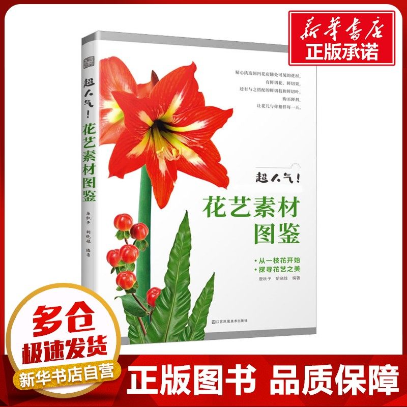 新华书店正版 民间工艺